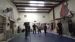 VFA Seminar Raleigh NC Nov 12 2023 bladework 2 [upl. by Siulegroj836]