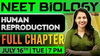 NEET Biology 2025  Human Reproduction  Oneshot  Exam Winner NEET [upl. by Dhumma541]