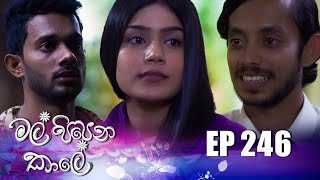 Mal Pipena Kale  Episode 246 13th September 2022 [upl. by Taima]