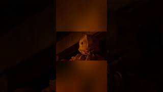 Sam in Trick r Treat horror horrorshorts [upl. by Gardal]