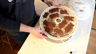 How to Dehydrate Beef Jerky With Jerky Gun [upl. by Aerdnahs]