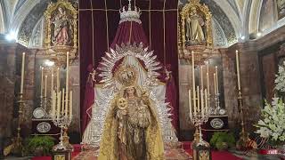 Besamano a la Virgen del Amparo  Sevilla  4K  2024 [upl. by Annabell]