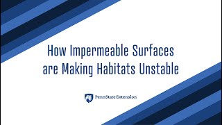 What are impermeable surfaces [upl. by Ridley]