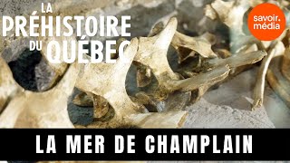 La mer de Champlain  La préhistoire du Québec [upl. by Ane]