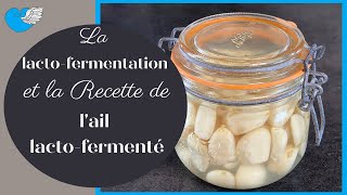 TOUT sur la LACTOFERMENTATION et la recette de lAIL LACTOFERMENTE [upl. by Lemmueu]