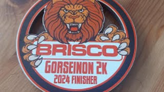 Brisco Gorseinon 10K amp 2K Family Fun Run [upl. by Nosnej699]