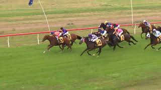 Goondiwindi 20240601 Race 1 [upl. by Nellir840]