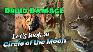 DRUID DampD 524 Damage 2024 Players Handbook [upl. by Perrins]