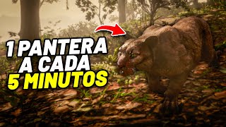 COMO CAÇAR PANTERA MAIS RÁPIDO no RED DEAD REDEMPTION 2  FARM de PANTERA [upl. by Laureen530]