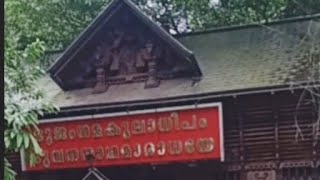 മന്ദാരശാലയെന്ന മണ്ണാറശ്ശാല🙏Mannarasala Srinagaraja templeyoutube video [upl. by Yecad441]