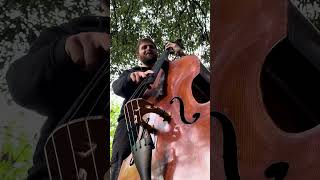 Bass under a tree 🌳Played for the squirrels 🐿️ today jazz uprightbass [upl. by Nibor254]