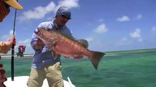 Angeln in Kuba  Fishing in Cuba Spin amp Fly  Action for Bonefish amp Snapper [upl. by Kong523]