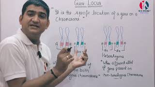 GENE LOCUS  HOMOLOGOUS  HETEROLOGOUS  Homozygous Vs Heterozygous genetics gene [upl. by Eeb596]