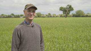 Cotswold Seeds First Hand Two Year Ryegrass amp Timothy Ley with Michael North [upl. by Greenwood]