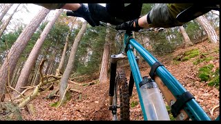 MTB Black Forest  Schwarzwald  241124 [upl. by Ander]