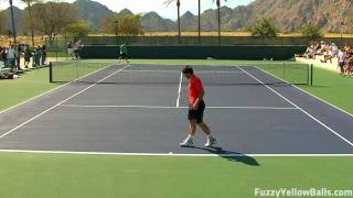 Janko Tipsarevic hitting in High Definition [upl. by Fraze731]