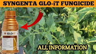 SYNGENTA GLOiT FUNGICIDE  GLOiT FUNGICIDE  gloit syngenta [upl. by Lamori]