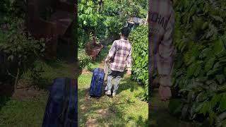 Best coffee Plantation stay in Coorg travelvlog coorgcoffee [upl. by Awad]