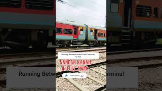 ANAND VIHAR TERMINAL TO PURI  NANDAN KANAN FULL THROTTLE train railway [upl. by Ihtak2]