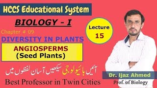 ANGIOSPERMS  Spermatophytes  Ch8  DIVERSITY IN PLANTS  1ST YEAR  Dr IJAZ  LEC15 [upl. by Hourihan463]