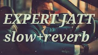 Expert Jatt • SlowReverb • Bass Boosted [upl. by Aislehc]