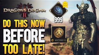 Dragons Dogma 2  Ultimate Farm Tips 3 Best Ways To get GOLD LEVELS amp Lots of Ferrystones Fast [upl. by Ellenohs]