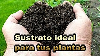 Como preparar un buen sustrato para plantas  Como preparar la tierra [upl. by Doughman851]