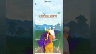 Shadow Girafarig Destroy 😧🤯 Opponent Team Ft Lueroi453gobattleleague [upl. by Notniuqal]