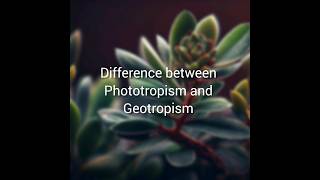 Phototropism and Geotropism in plants ☘️ chemicalcoordination phototropism geotropism [upl. by Ecarret]