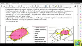 Partie 02 absorption de leau et les sels minéraux chez les plantes chlorophylliennes osmose [upl. by Eatnoj]