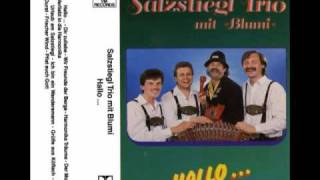 Salzstiegl Trio mit Blumi  Wir freunde der berge [upl. by Akyssej590]