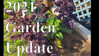 First Garden 2021 Update With Lindas Pantry [upl. by Zeuqram]