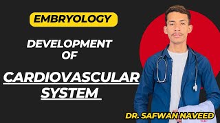 Cardiovascular system development  Primary and Secondary heart fields  Embryology [upl. by Arob]