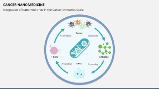 Cancer Nanomedicine Animated Presentation [upl. by Dunton411]