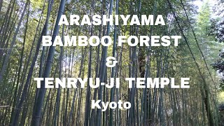 V73 LETS VISIT ARASHIYAMA KYOTO [upl. by Otsugua]