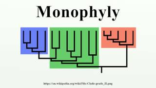 Monophyly [upl. by Seale250]