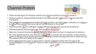 Facilitated Diffusion apbiology ibbiology asbiology [upl. by Asirem]