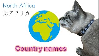 Quiz How to read the country names in Japanese Learn Japanese with Toby North Africa 北アフリカ [upl. by Nofets]