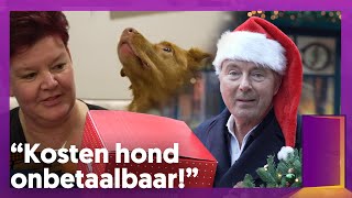 🎁 KERSTPAKKETTEN uitdelen in ARMSTE WIJK van UTRECHT  🎄Kerst voor de deur met Bert van Leeuwen [upl. by Nanreit389]