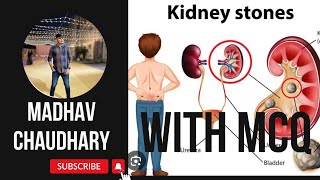 URINARY SYSTEM LECTURE3 NEPHROLITHIASISKIDNEY STONE WITH ALL MCQmadhavchaudhary kidney youtube [upl. by Retnyw922]