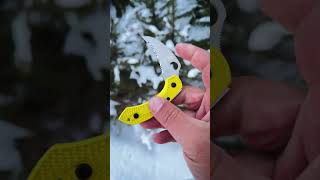 Dragonfly™ 2 Salt® Hawkbill Spyderco SpydercoKnives [upl. by Lucier]