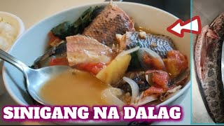 SINIGANG NA DALAG  HOW TO COOK MUDFISH IN TOMATO SOUP  PAANO LUTUIN ANG DALAG [upl. by Mehcanem]