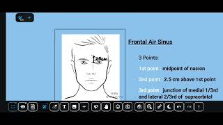 Frontal air sinusAnatomy Surface marking [upl. by Riddle]