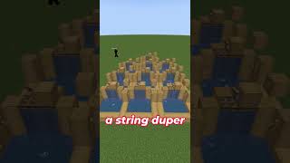 What is the best Glitch in minecraft [upl. by Eslehc]