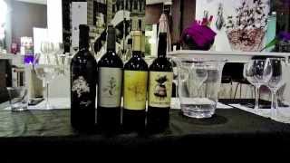 BODEGAS JUAN GIL [upl. by Kuth]