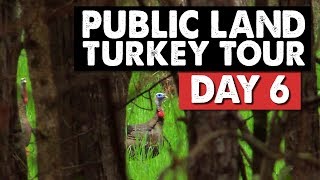 GOBBLING UP A STORM  Public Land Turkey Hunting [upl. by Ataymik223]