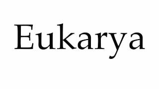 How to Pronounce Eukarya [upl. by Nylac969]