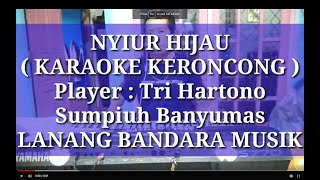 NYIUR HIJAUKARAOKE KERONCONGTRI HARTONOLANANG BANDARA MUSIK [upl. by Tessler822]