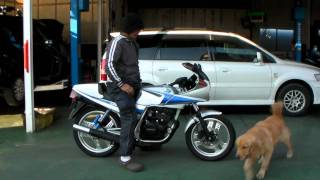 CBX125F 参考動画 [upl. by Llenil180]