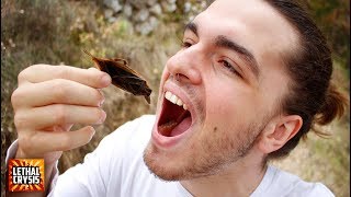 Mi primera vez COMIENDO INSECTOS GIGANTES [upl. by Kawai]